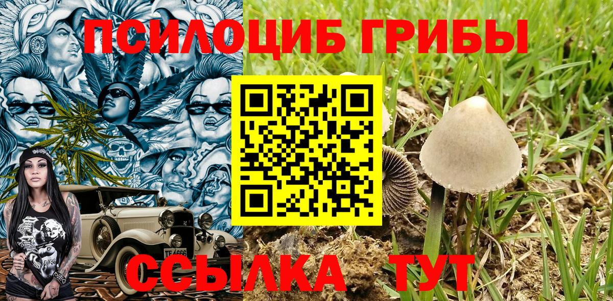 Псилоцибиновые грибы мухоморы  Вход с VPN  Надым  Псилоцибиновые грибы GOLDEN TEACHER 